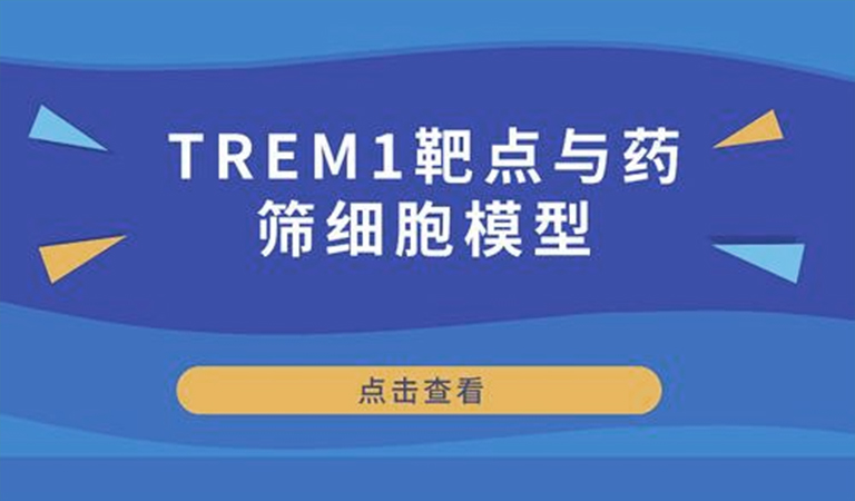 先驅(qū)還是先烈-TREM1靶點與藥篩細胞模型 先驅(qū)還是先烈-TREM1靶點與藥篩細胞模型